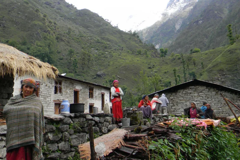 Nature & Wildlife Excursions Nearby